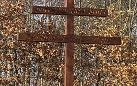 krzyż choleryczny w jasieniu zbliżenie