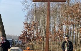 krzyż choleryczny w jasieniu