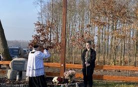 krzyż choleryczny w jasieniu