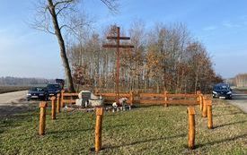 krzyż choleryczny w jasieniu