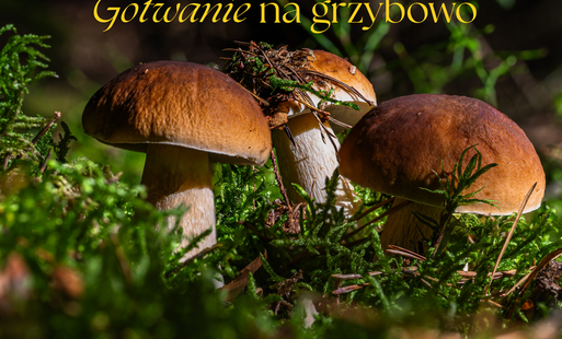Zdjęcie do Informacja o złożonej ofercie